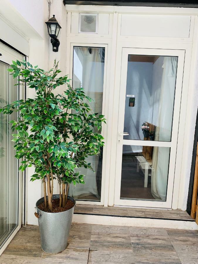 Cassis Studio Aix-en-Provence Exteriör bild